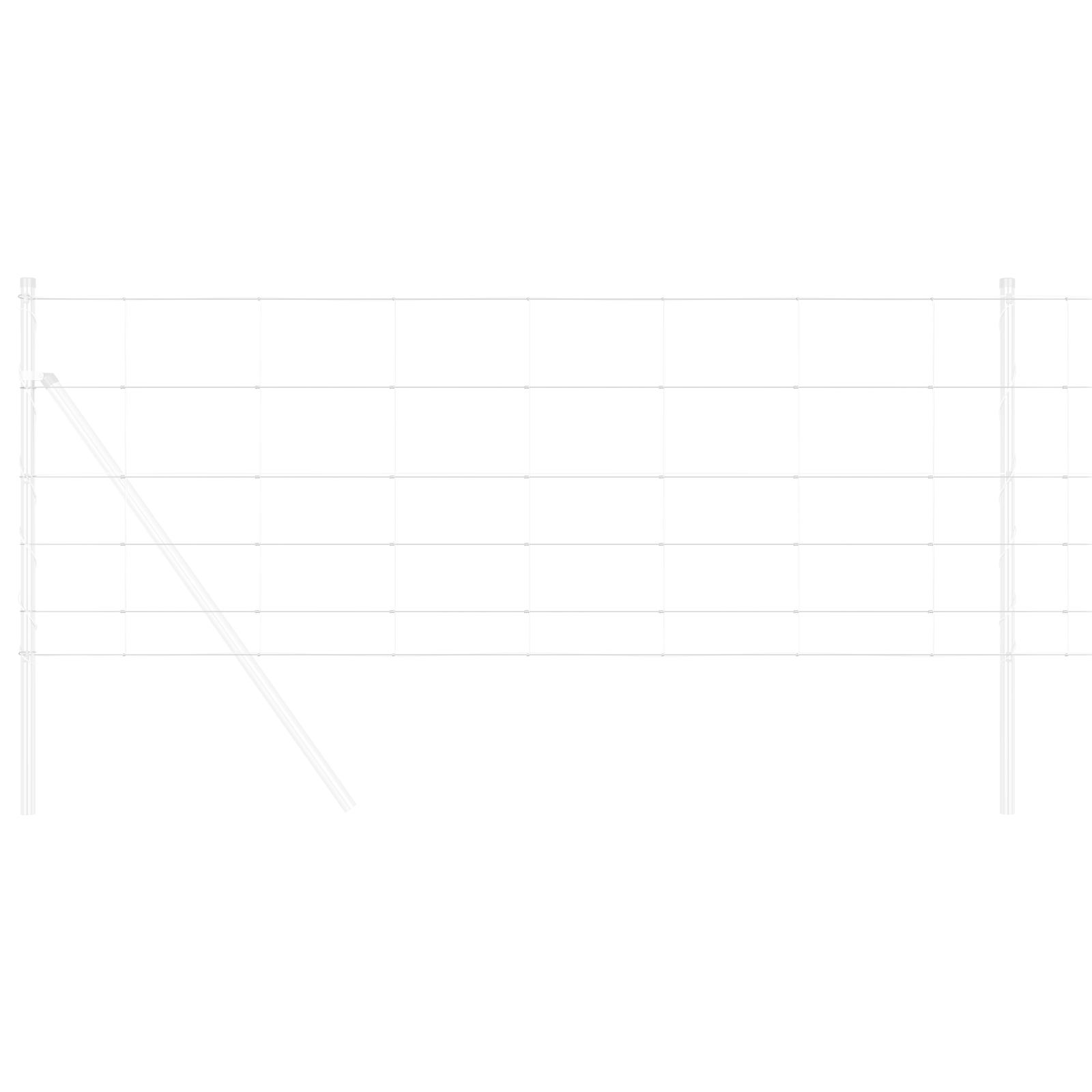 Markhegn 0.8x50 m Galvaniseret Stål