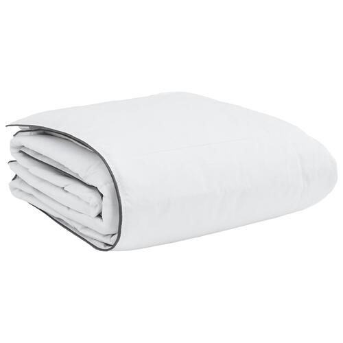 Vinter dyne Hvid 200 x 240 cm 105gsm fersken polyester