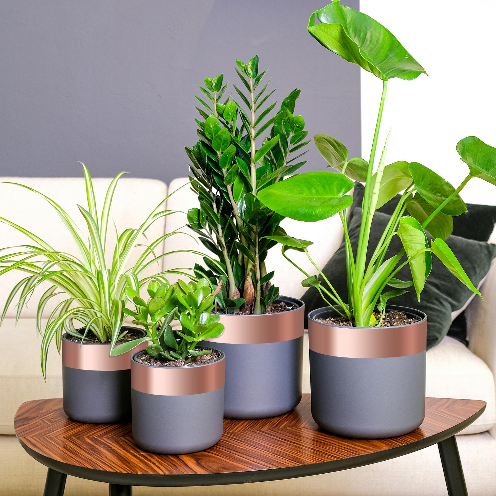 Kobber tape 6 stk Kobber 2000 x 5 cm