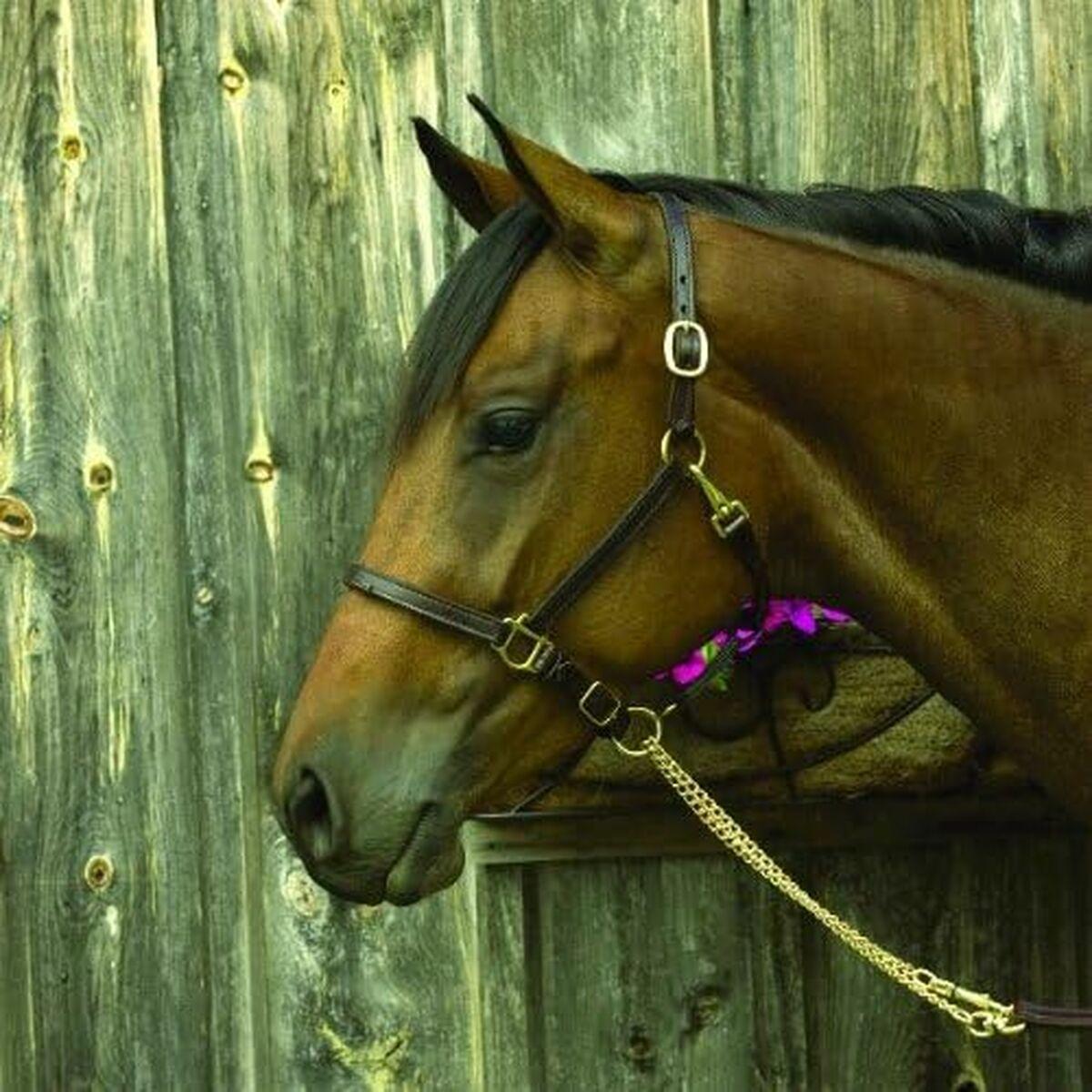 Majorica dame ring 17218.01.1.913.010.1 - elegant metalring