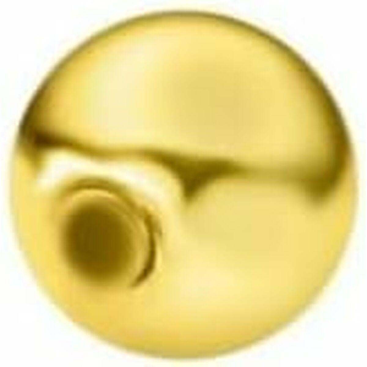 Lotus øreringe til kvinder LP9999-10/2 - metal