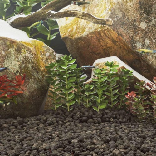 Vulkanske sten til akvarium 25 kg - 5-8 cm, sort