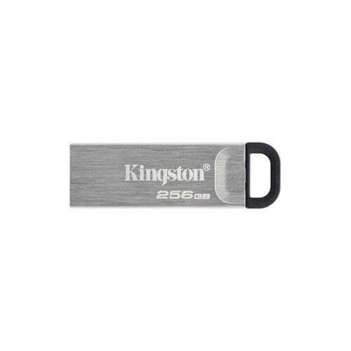 Kingston USB-stik 256 GB DTKN, USB 3.2, sølv