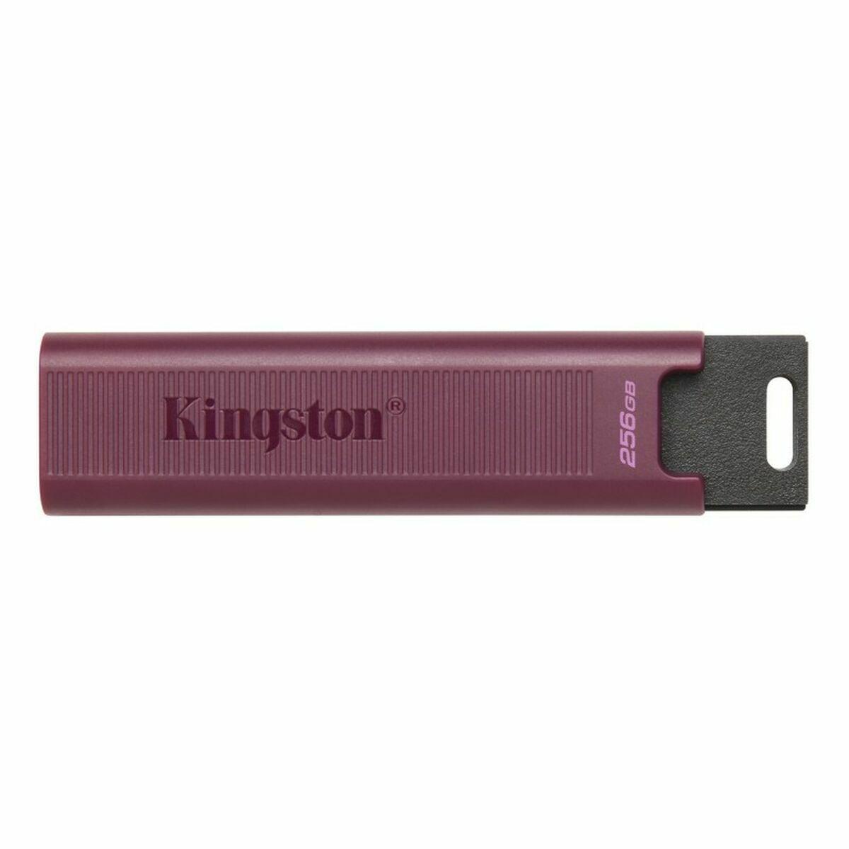 Kingston DataTraveler Max - USB flashdrive - 256 GB - USB 3.2 Gen 2