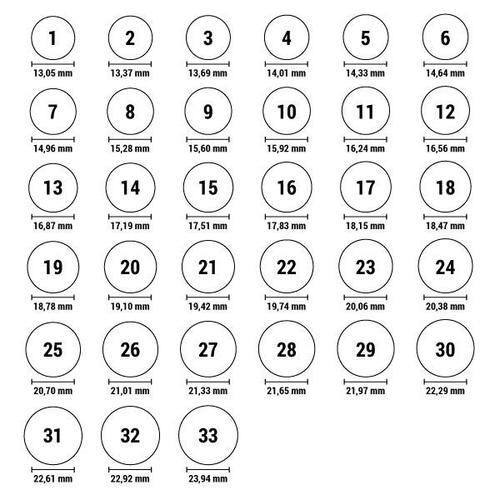 Ring til kvinder Folli Follie 3R16S041C-54 (14)