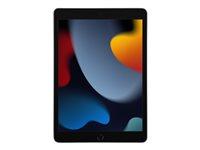 iPad 10,2" Wi?Fi 256 GB Grå (9. generation) - Apple Preowned (RENOVERET)