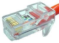 RJ45 netværksstik til rund kabel 8-polet - Goobay billede