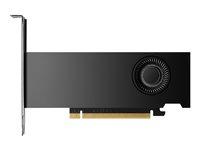 Grafikkort NVIDIA RTX 2000 Ada Generation 16 GB GDDR6