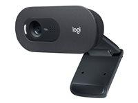 Webkamera Logitech C505 720p med mikrofon og USB-kabel billede