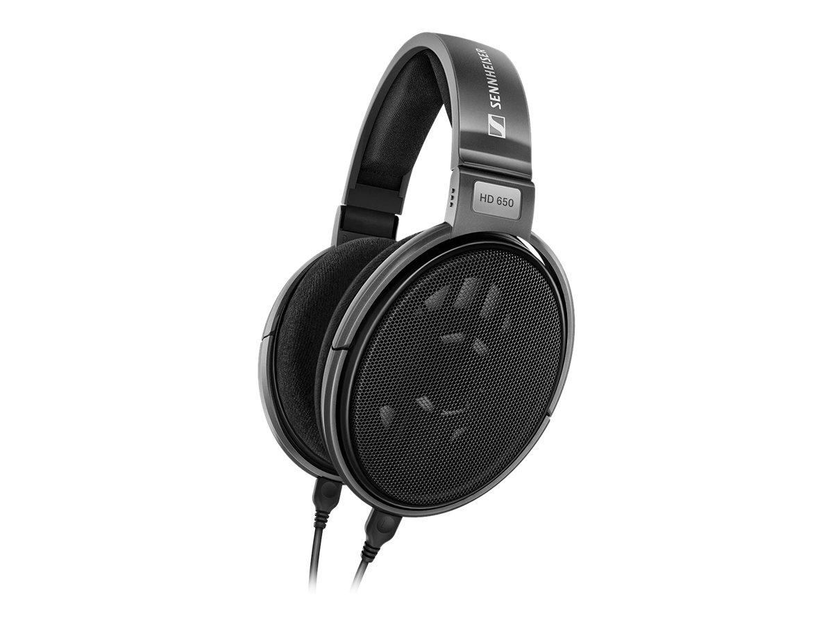 Hovedtelefoner Sennheiser HD 650 kablede - sølv/titan billede
