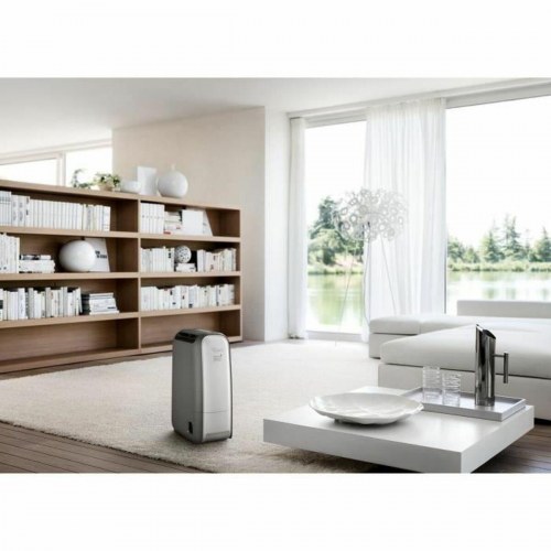 DeLonghi DNS 80 affugter - hvid plast