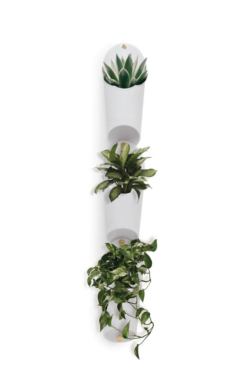 Vægdekoration planteholder Umbra Floralink - hvid