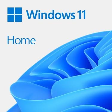 Operativsystem Windows 11 Home – Microsoft, 1 licens, DVD billede
