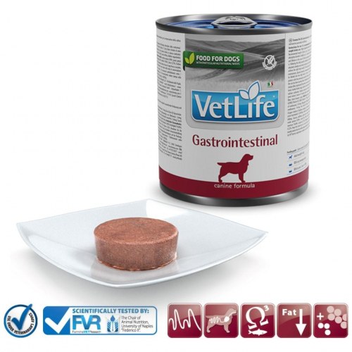 Hundefoder vådfoder Farmina Vet Life Gastrointestinal 300 g