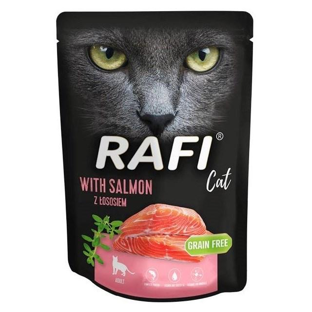 Vådfoder til kat – Dolina Noteci Rafi med laks, 300 g billede