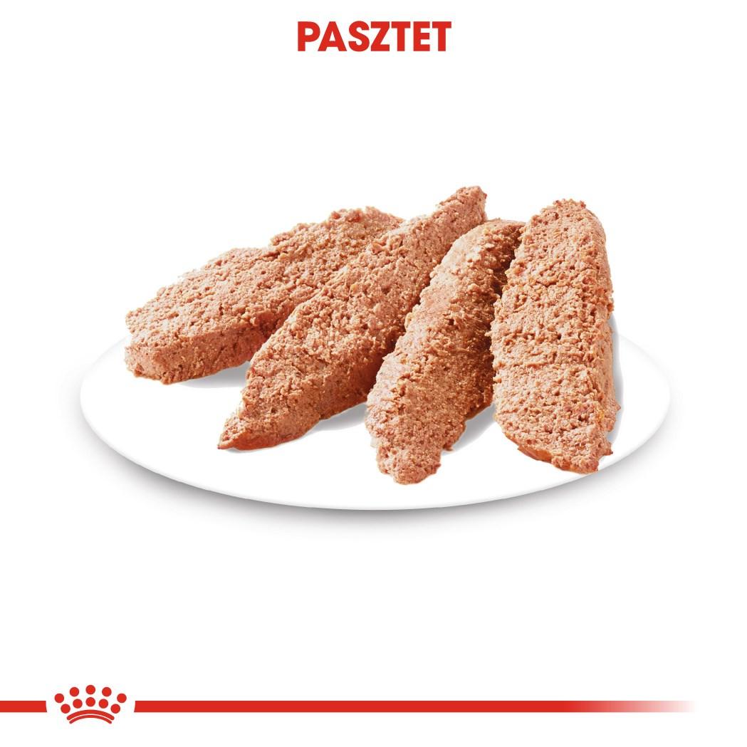 Hundefoder vådfoder Royal Canin Exigent pâté 12×85 g billede