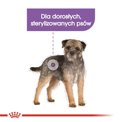 Hundefoder til små racer Royal Canin Mini Sterilised tørfoder - 1 kg