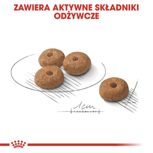 Hundefoder til små racer Royal Canin Mini Sterilised tørfoder - 1 kg