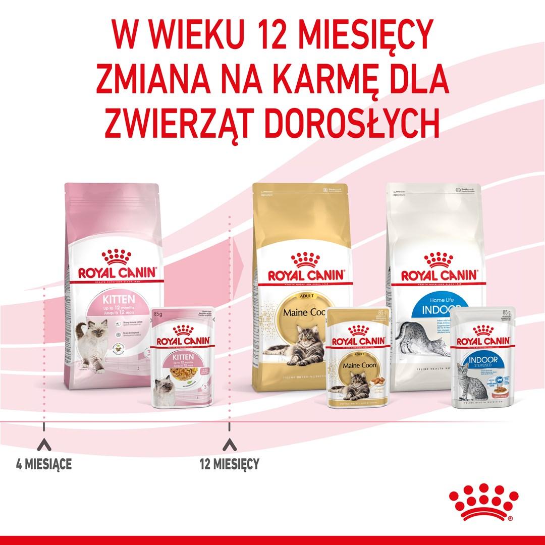 Kattemad vådfoder Royal Canin Kitten Instinctive i sauce 12×85 g billede