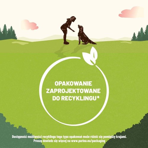 Hundegodbidder – Purina Adventuros Training, laks 40 g