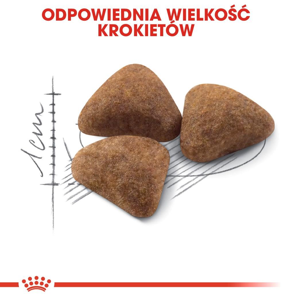 Kattemad tørfoder Royal Canin Indoor til voksne katte 4 kg billede