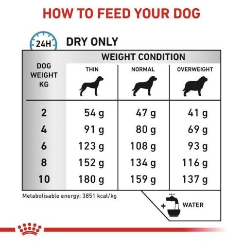 Hundefoder tørfoder Royal Canin Anallergenic Small VHN 3 kg