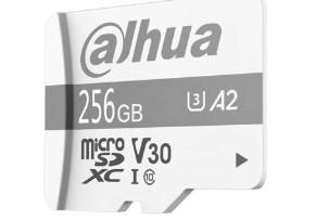 MicroSD hukommelseskort 256 GB – Dahua P100 UHS‑I U3 A2 V30, Class 10 billede