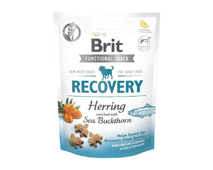 Hundegodbidder Brit Care Recovery med sild - 150 g billede