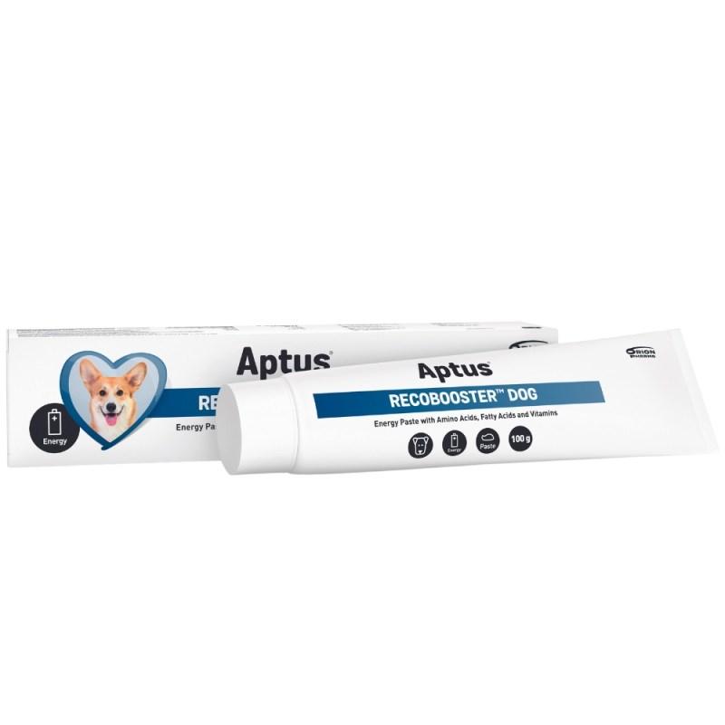 Kosttilskud til hunde - Aptus Recobooster, pasta 100 g billede