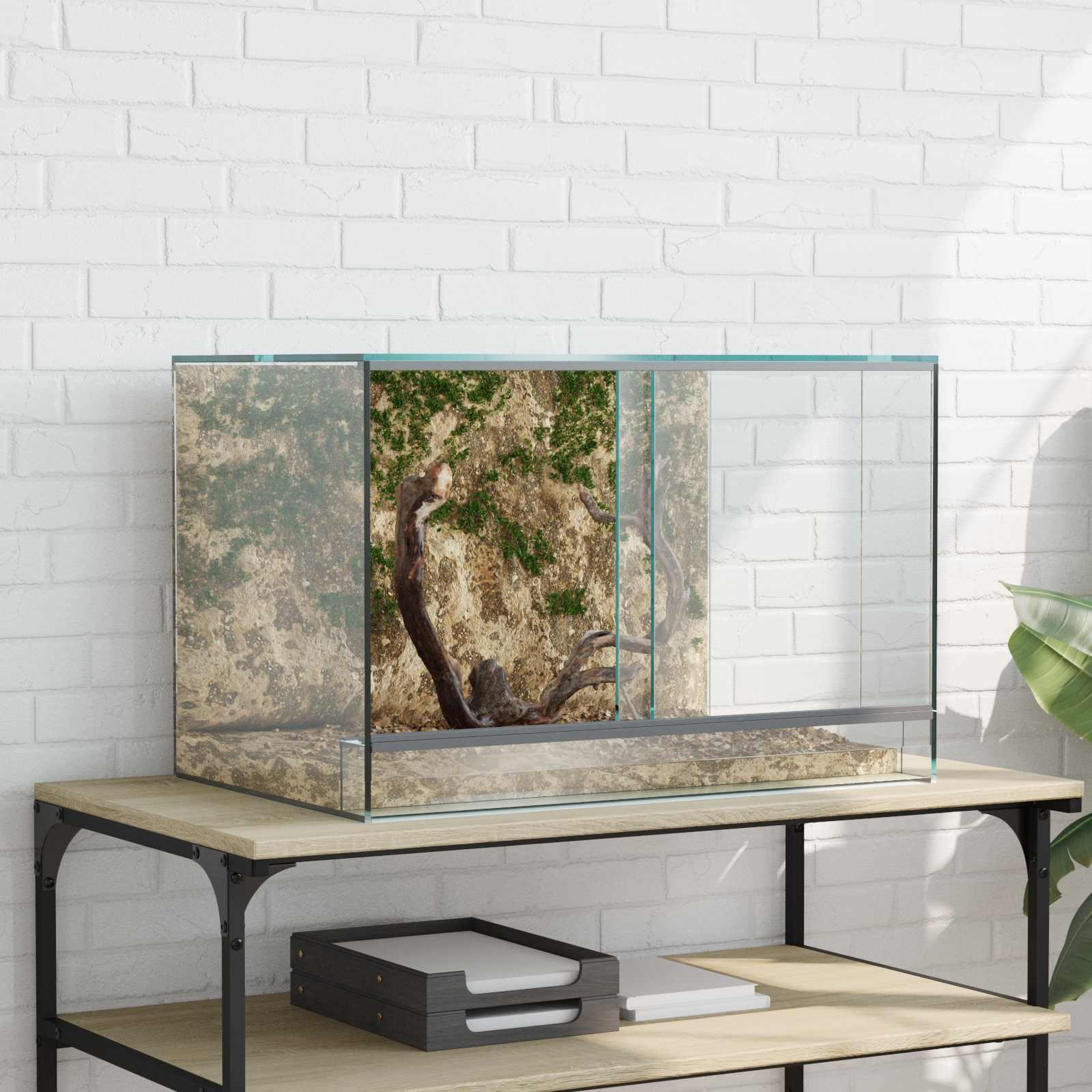 Krybdyr og amfibiehabitater Hvid 60 x 40 x 40 cm Glas billede
