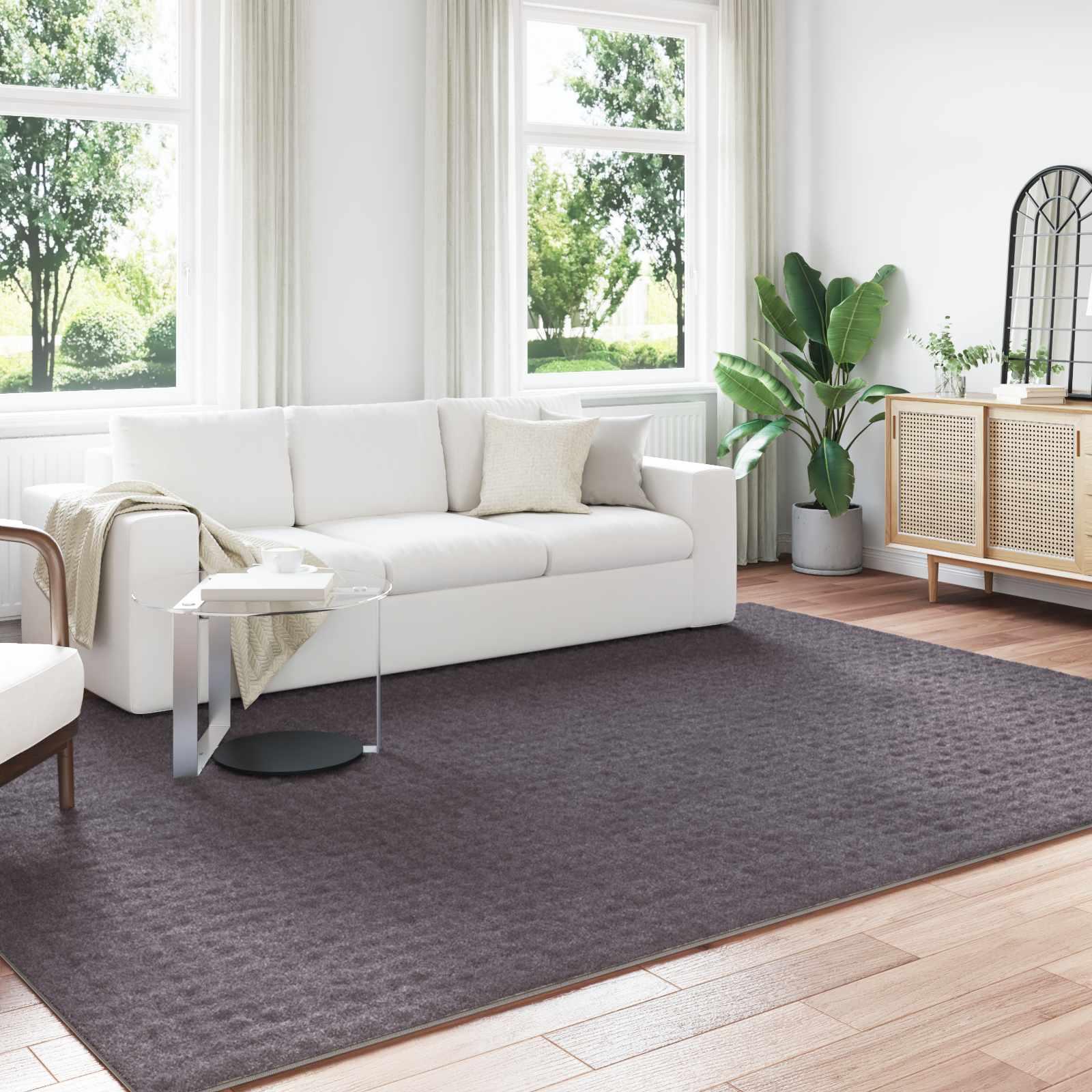 Områdetæpper Rektangulær Antracit 280 x 200 cm billede