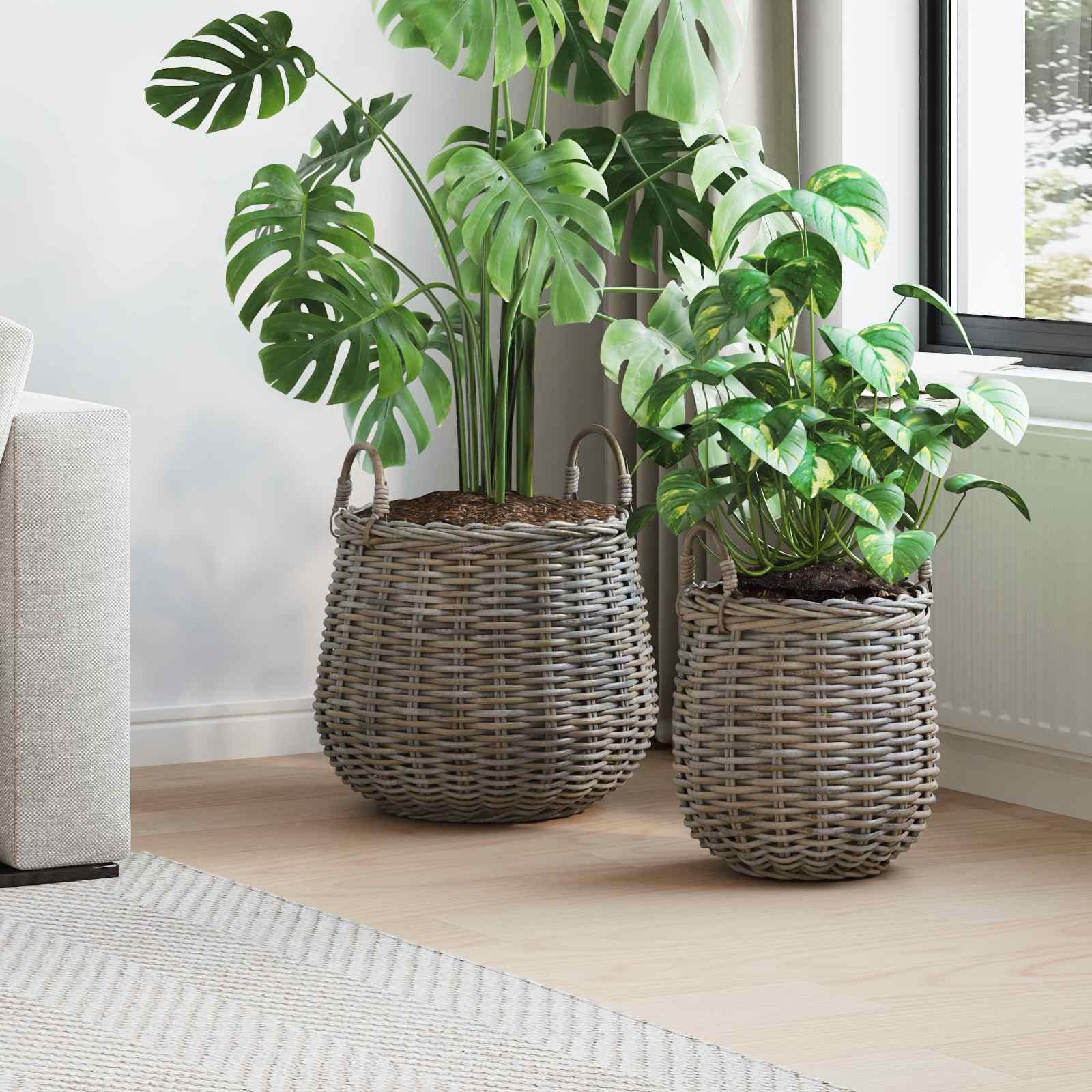 Plantekurv med opbevaring 2 stk Grå Lacak Rattan billede