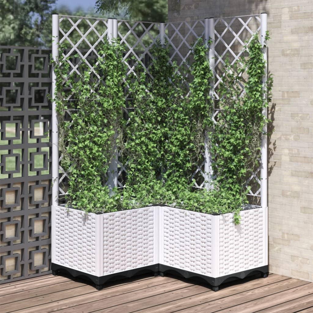 Plantekasse med espalier 80x80x136 cm PP hvid billede