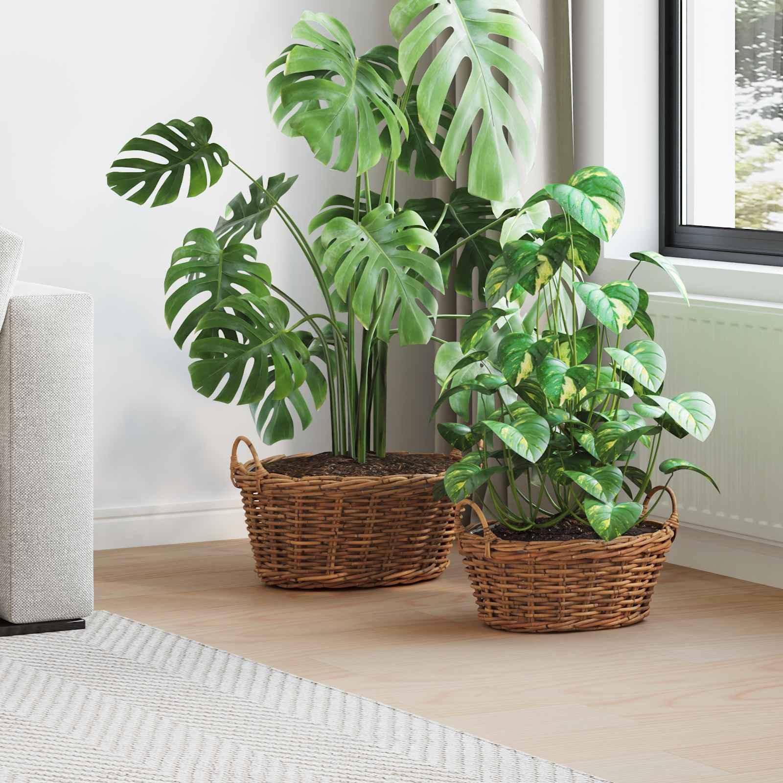 Plantekurv med opbevaring 2 stk Brun Lacak Rattan billede