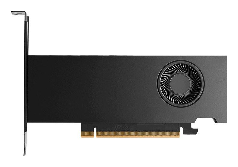PNY RTX Pro 2000 Blackwell 16 GB GDDR7 grafikkort billede