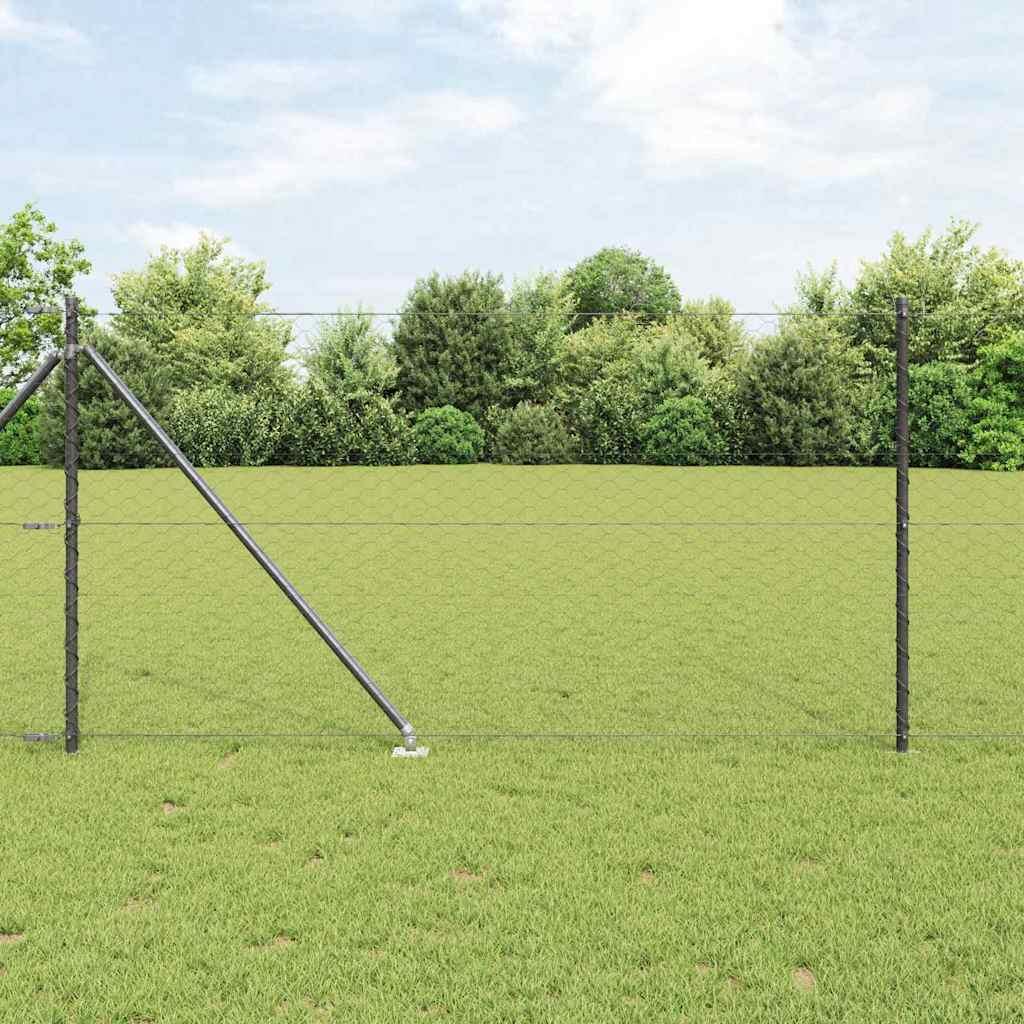 Hegnspæl Grå 25 x 1 m (50 mm mesh) Stål billede