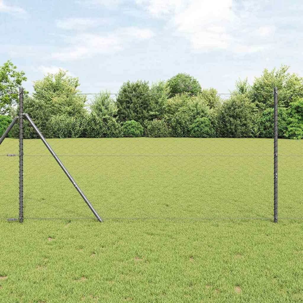 Hegnspæl Grå 25 x 1 m (50 mm mesh) Stål billede