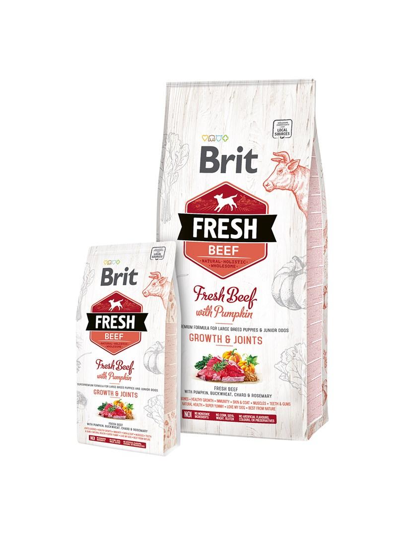 Brit Fresh Beef med græskar – Puppy Large Bones & Joints, 12 kg billede