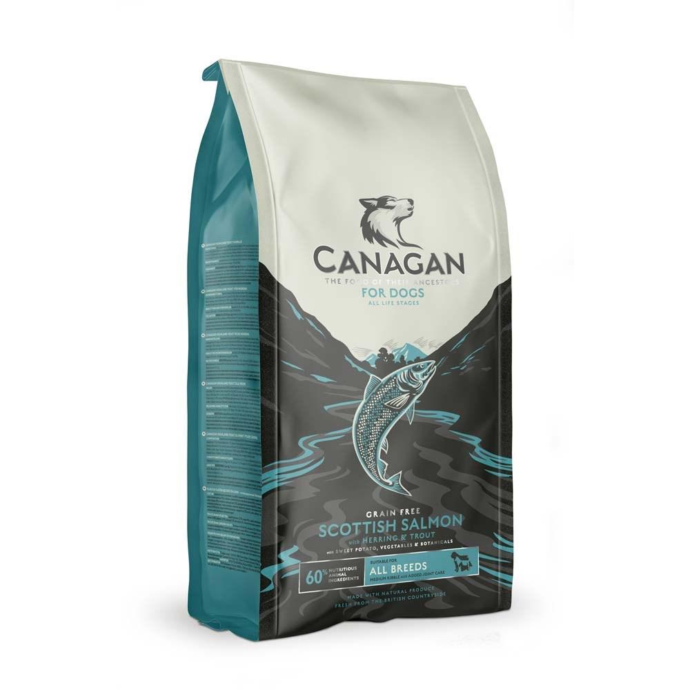 Canagan Scottish Salmon kornfrit tørfoder til hund – 6 kg billede