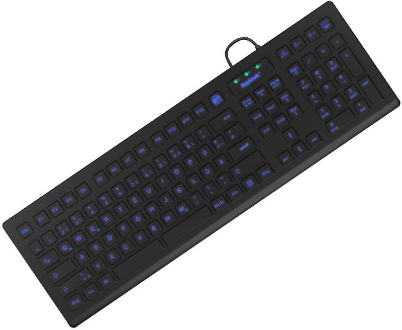 RAIDSONIC KeySonic KSK-8031INEL-B industrielt tastatur (DE) - USB, fuld størrelse, sort billede
