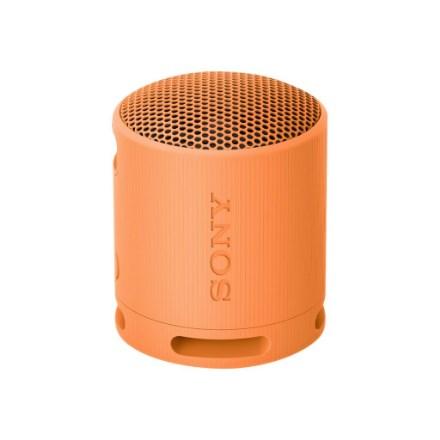 Sony SRS-XB100 Bluetooth-højtaler - vandtæt, bærbar - lysegrå