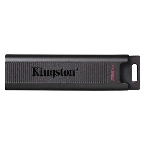 USB-stik Kingston DTMAX 256 GB