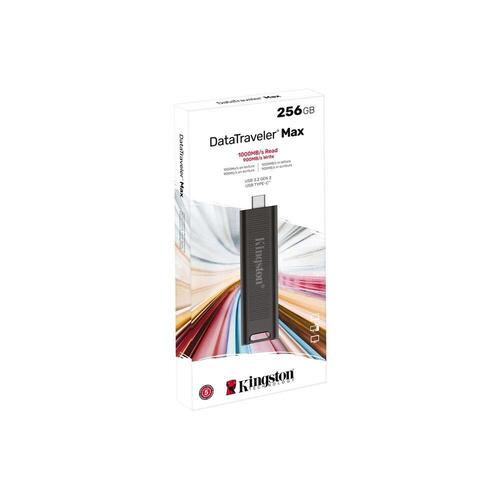 USB-stik Kingston DTMAX 256 GB