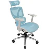 THUNDERX3 XTC ergonomisk gamerstol - hvid/blå billede