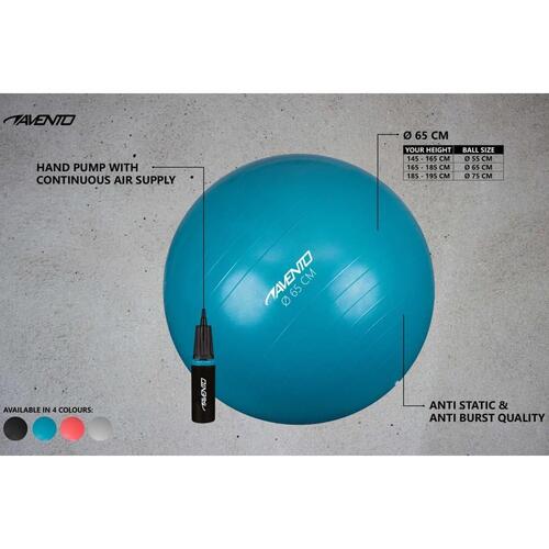 Avento træningsbold + pumpe diam. 65 cm sølvfarvet