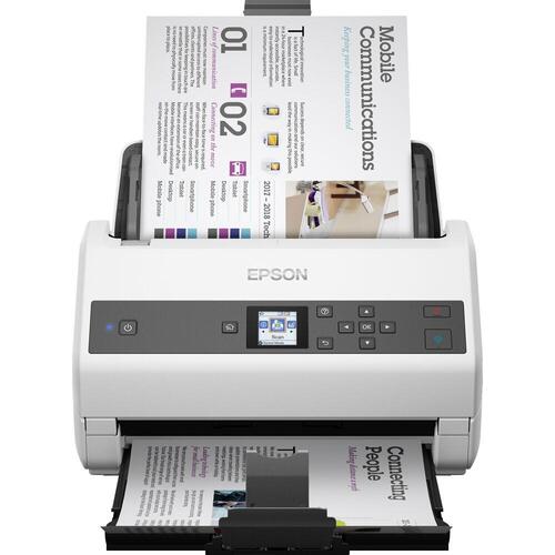 Scanner Epson B11B250401