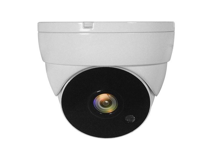 LevelOne ACS-5302 4-i-1 fast dome CCTV analogt kamera - FHD 1080p, IP67 billede