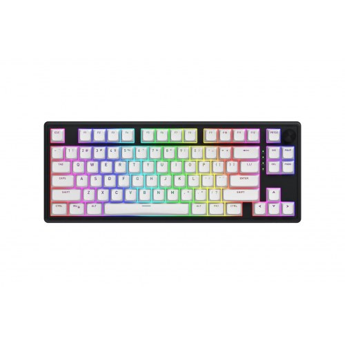 Skyfall Wireless 80 gamingtastatur - USB, RF og Bluetooth 5.3, 80%, RGB, sort/hvid