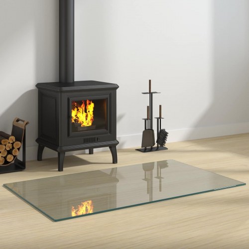 Pejs glasplade Transparent 100 x 60 cm Glas