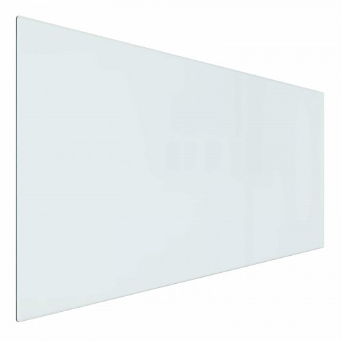 Pejs glasplade Transparent 100 x 50 cm Glas